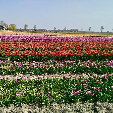 Casa de Férias Boerenslag 24 *