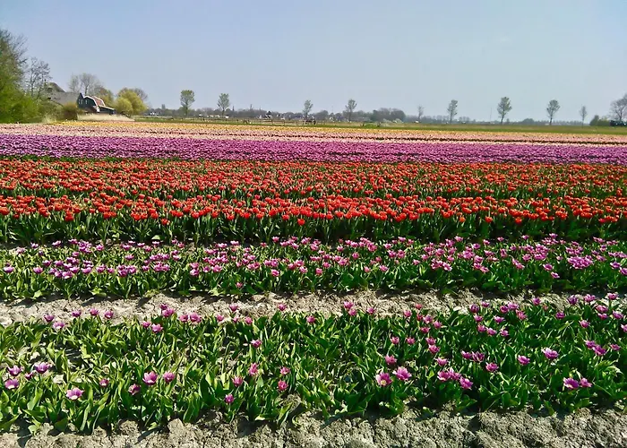 Casa de Férias Boerenslag 24 *